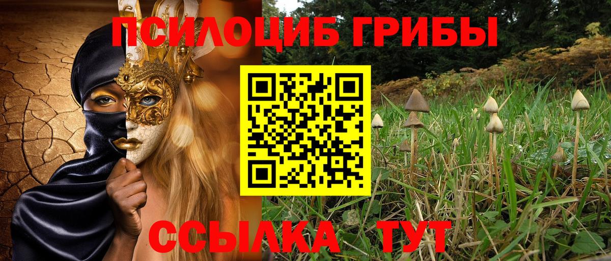 Галлюциногенные грибы мицелий Солнечногорск