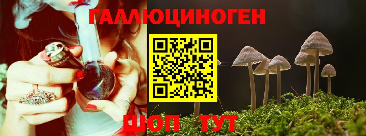 Солнечногорск  Галлюциногенные грибы мицелий  где продают   Вход с VPN 